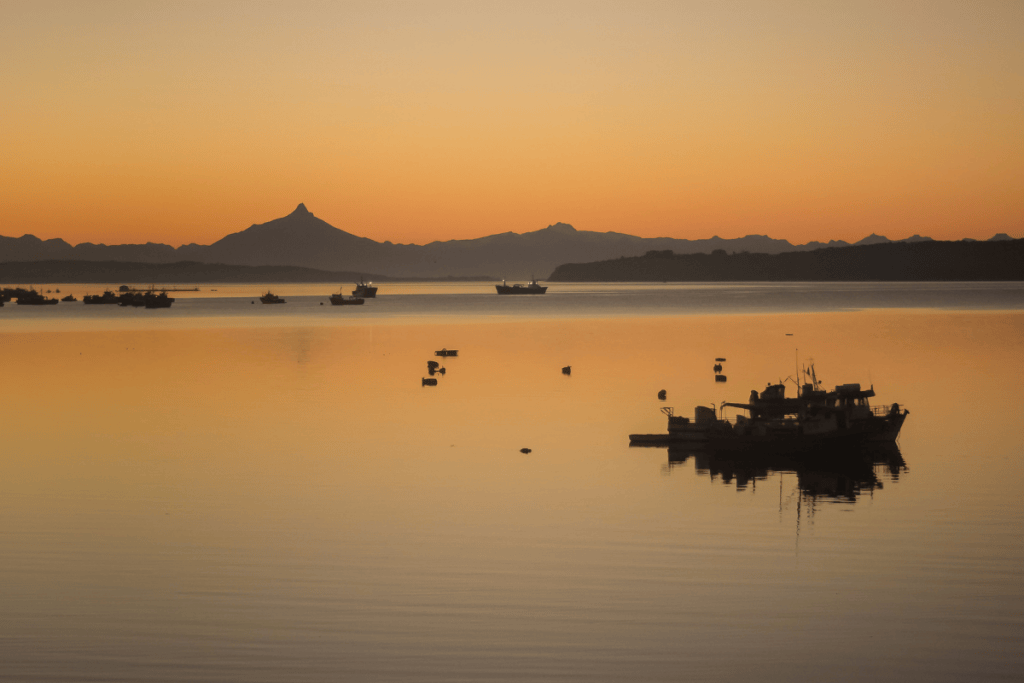 Chiloé Culinary Adventures