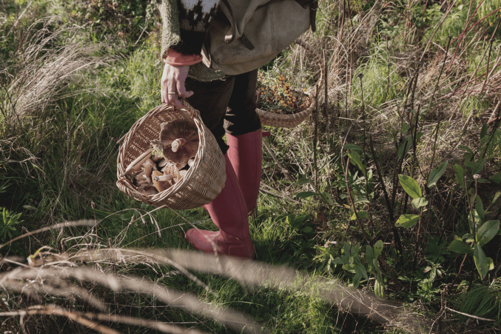 Rototua Culinary Adventure