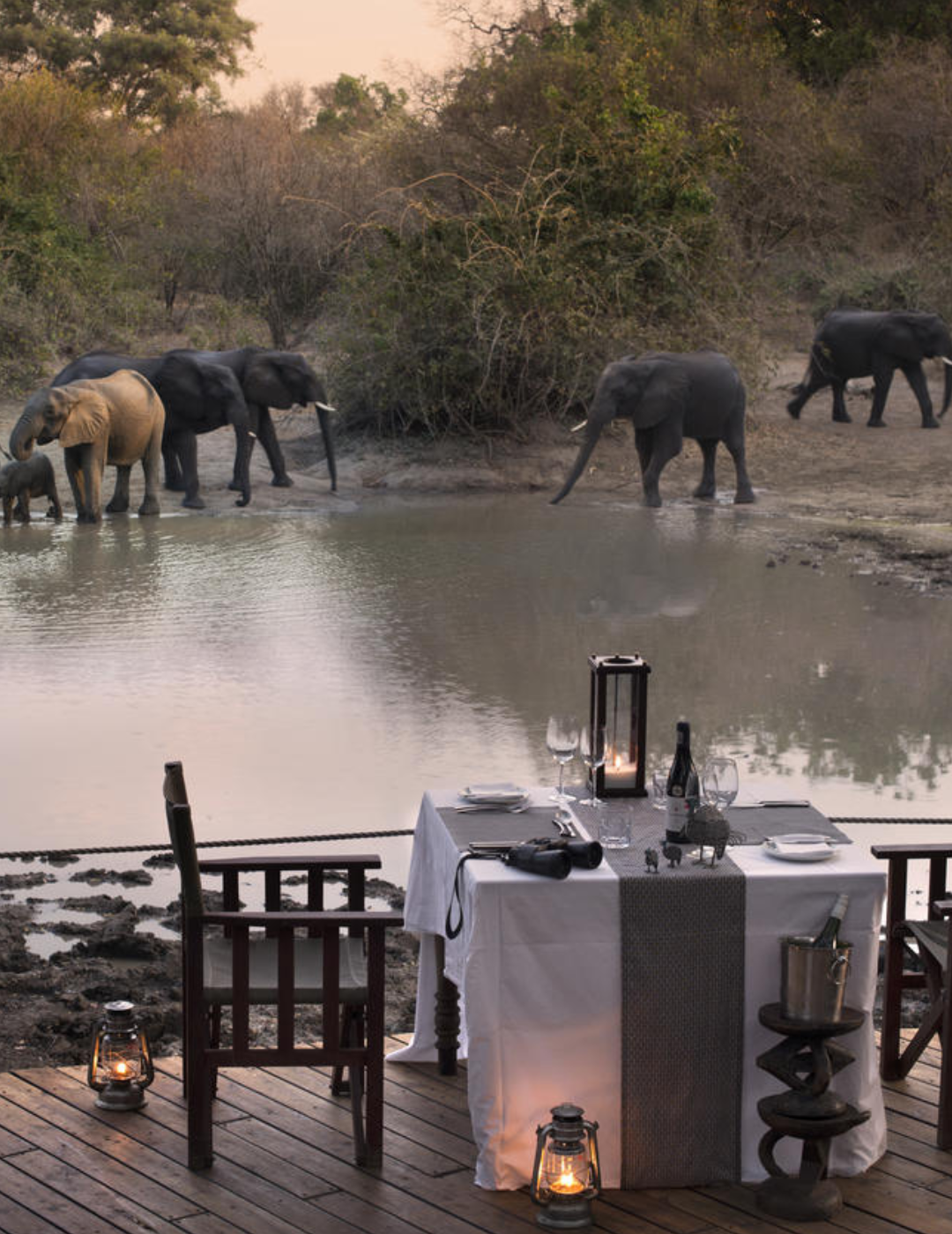 Kenya luxury lodge balcony elephants