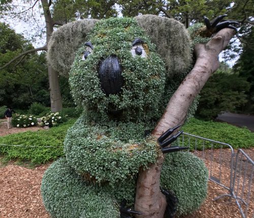 Australia and New Zealand