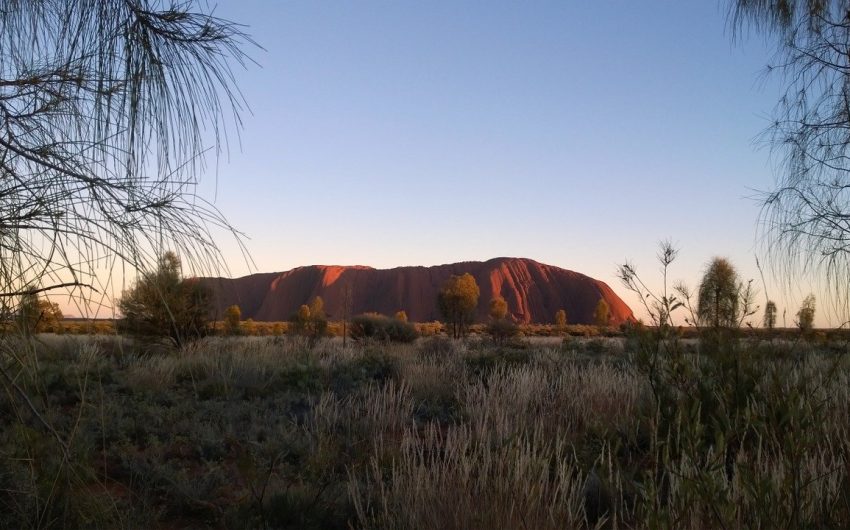 The $25,000 Gift That Creates Stories for Decades