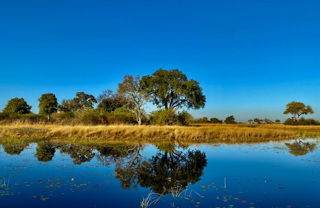 Botswana versus Zambia Safari Lodges: Which to Choose?