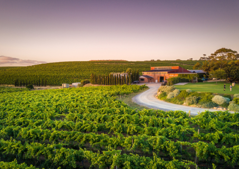 Australia Best Destination Wine Tour