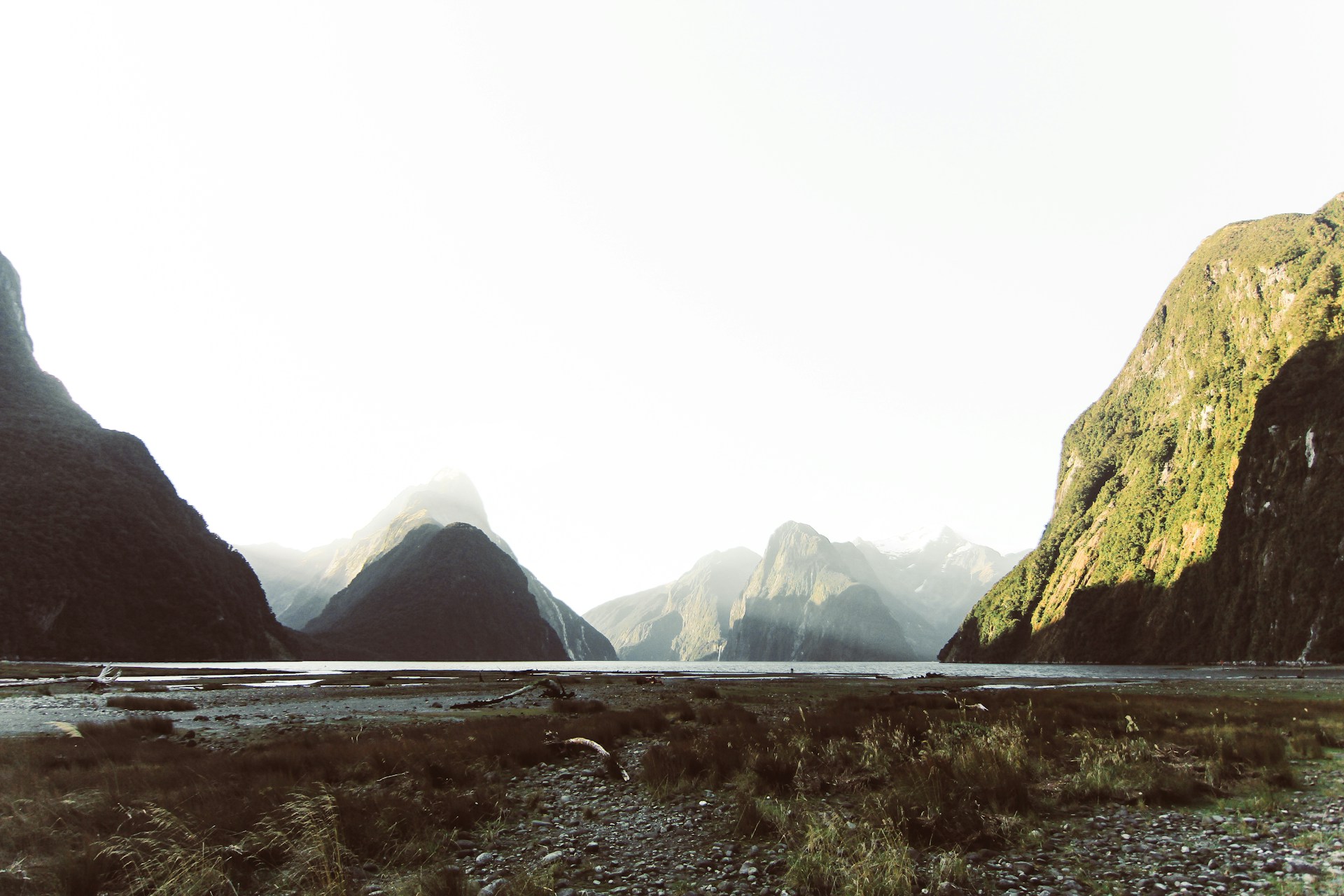 Why My Most Successful Clients Never Ask ‘When Should We Go?’