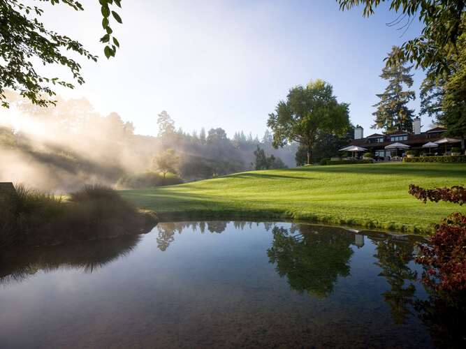 What $20,000 Actually Buys in New Zealand (The Pricing Truth)